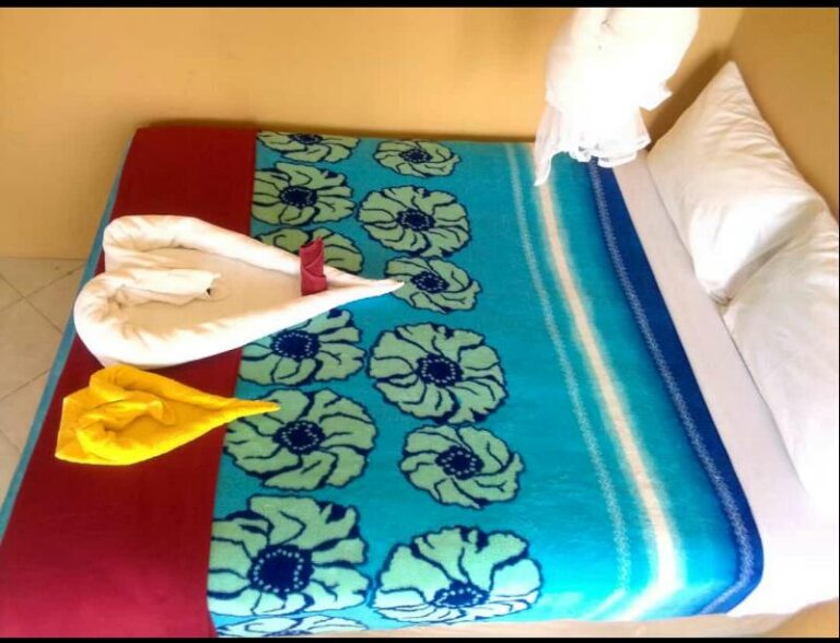 Education 5.0 : Masvingo Poly turns guest house into lodge