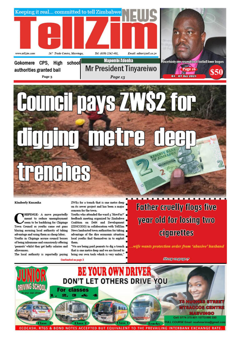 Council pays ZW$2 for digging metre deep trenches