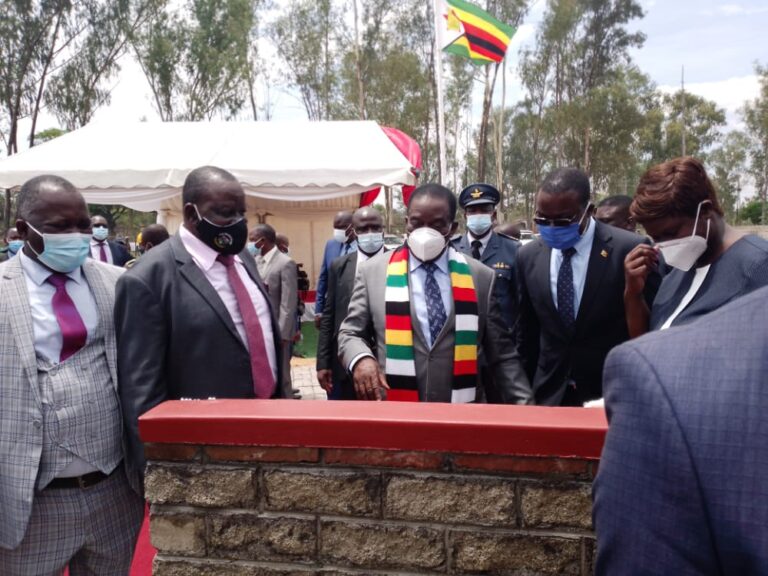 Zimbabwe cannot even manufacture crutches – Prof Murwira