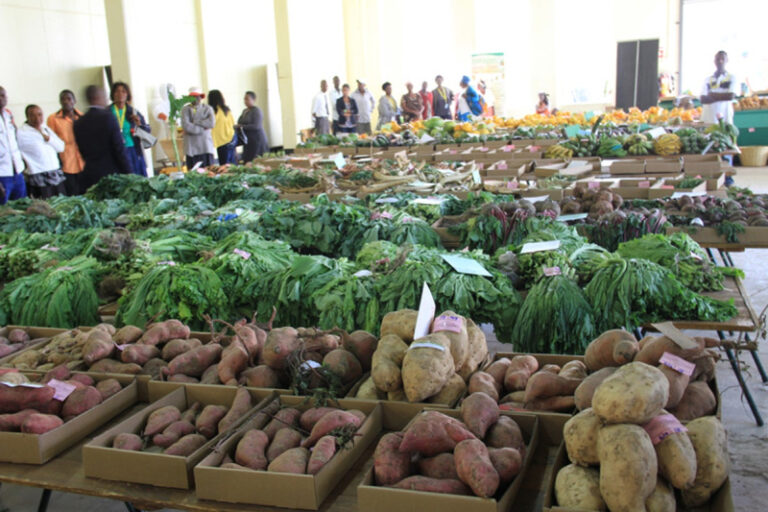 Lowveld Agric show preparations at advanced stages