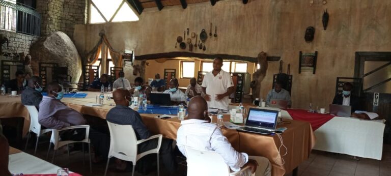 TellZim partners city of Masvingo to promote access to information