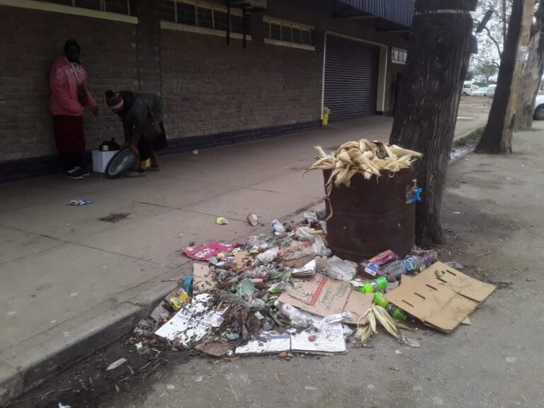 City council calls for collective responsibility on waste management