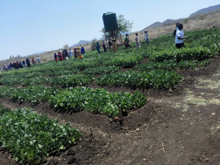 CGCDZ escalates women empowerment