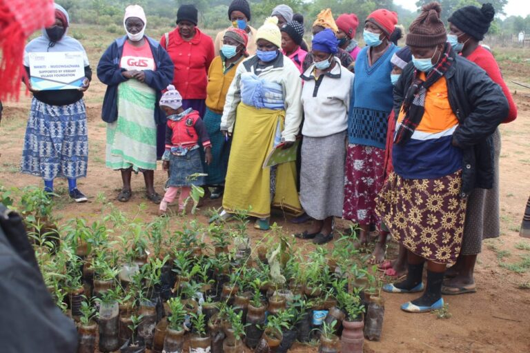 CGCDZ distributes seedlings to community partners in Masvingo