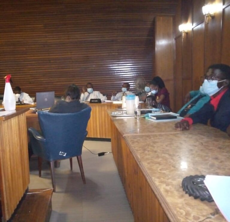 Masvingo full council meetings useless – Cllr