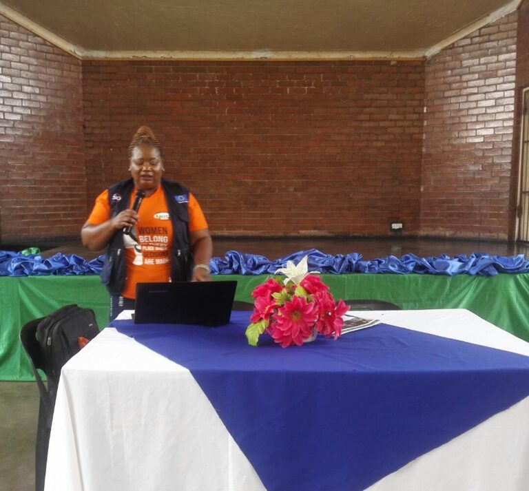 ZESN engages Gweru youths on voter education