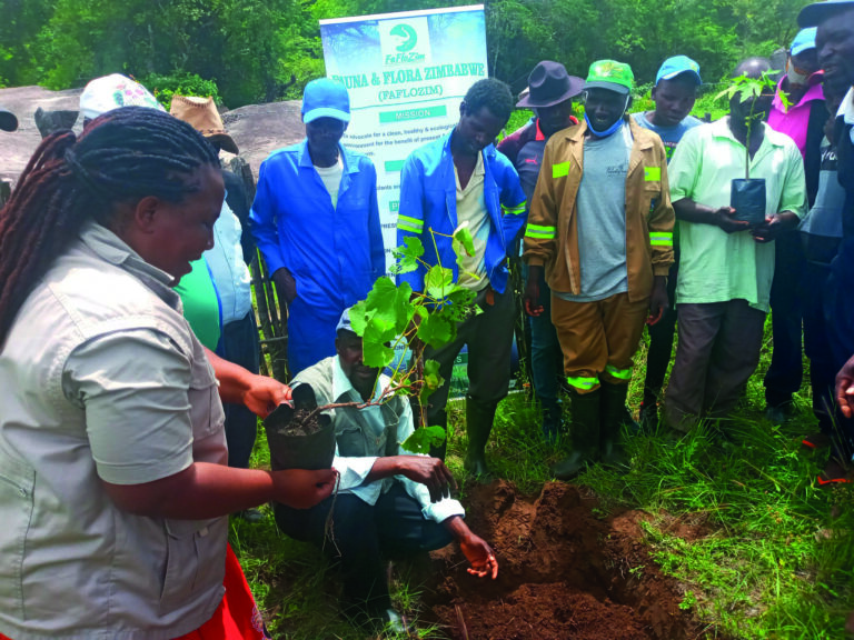 Gutu North joins Climate change mitigation initiative