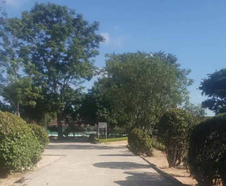 287 Biometric voter registration centres for Masvingo Province