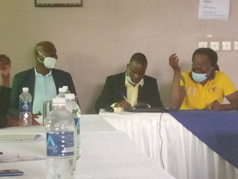 Dollarization or De-dollarization in Zim – The way forward