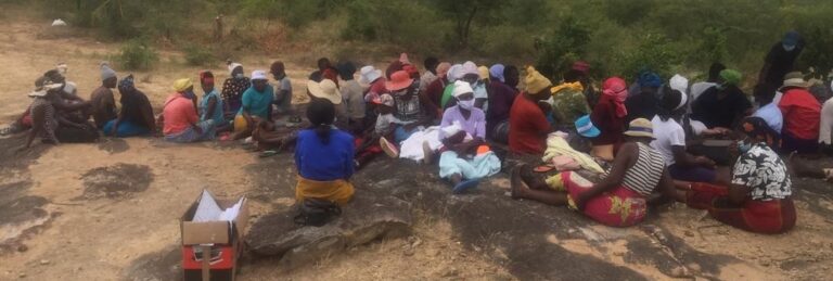 COTRAD, ZEC collaborate in Zaka voter education