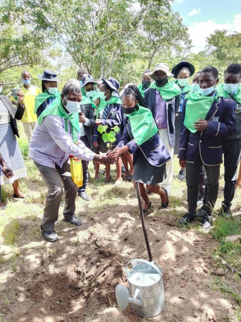 Utsinda College celebrates international day of Forestry