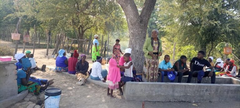 Community gardens boost development in Buhera