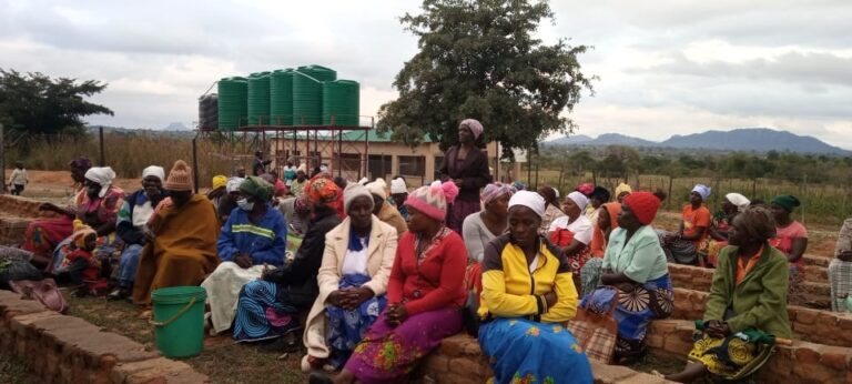 Hwiridzo Garden  Club appeals for markets