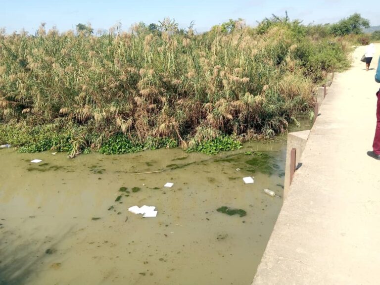 Masvingo City Council acknowledges raw sewer discharge