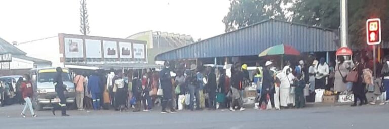 ZRP heavily descends on Mushika-shika operators