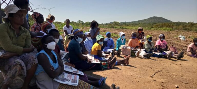 Zvamahande women appeal for inputs, markets for garden project