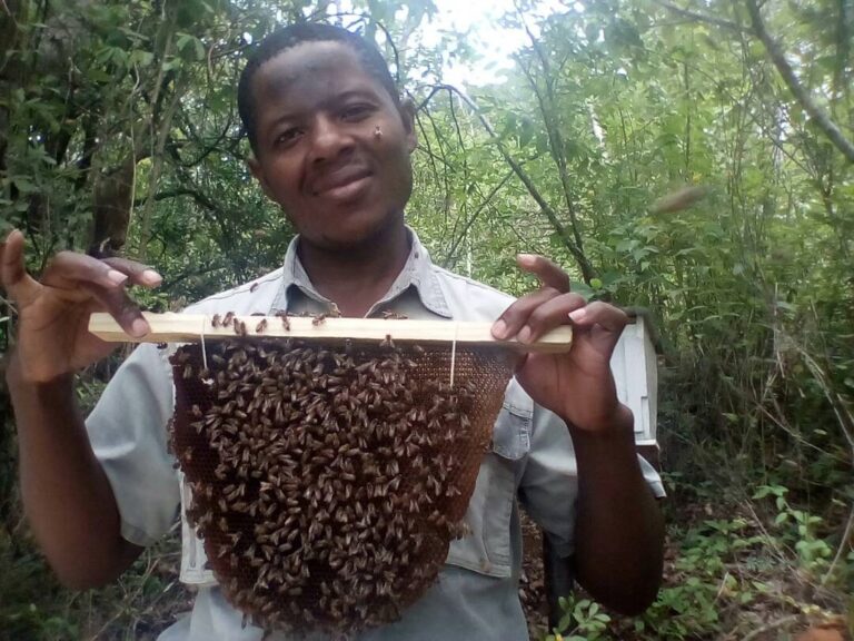 Bee keepers stung by climate change, hostile economic environment