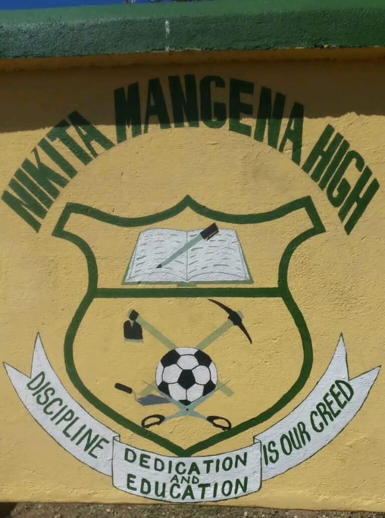 Satanism scare rocks Mwenezi’s Nikita Secondary School