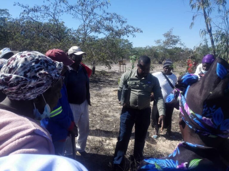 WiCo, Nyaradzo  re-green Shurugwi  rural communities