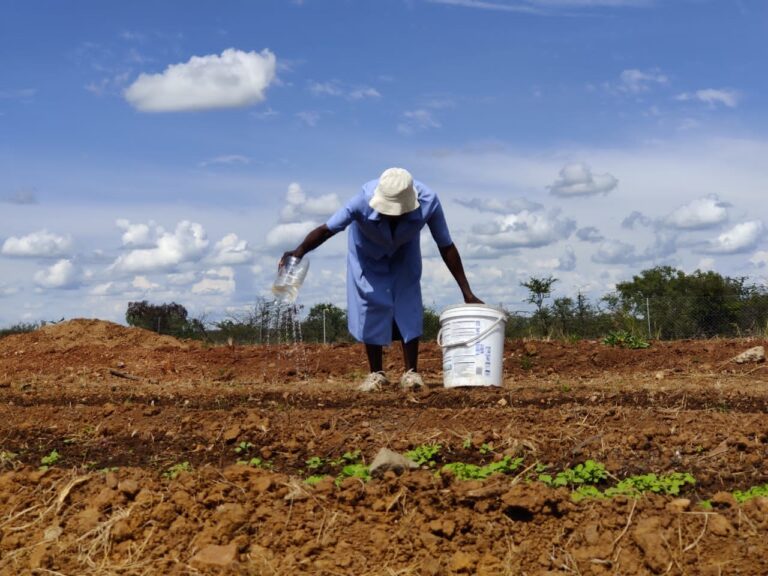 HOCIC spearheads poverty reduction in communities, targets OVCs