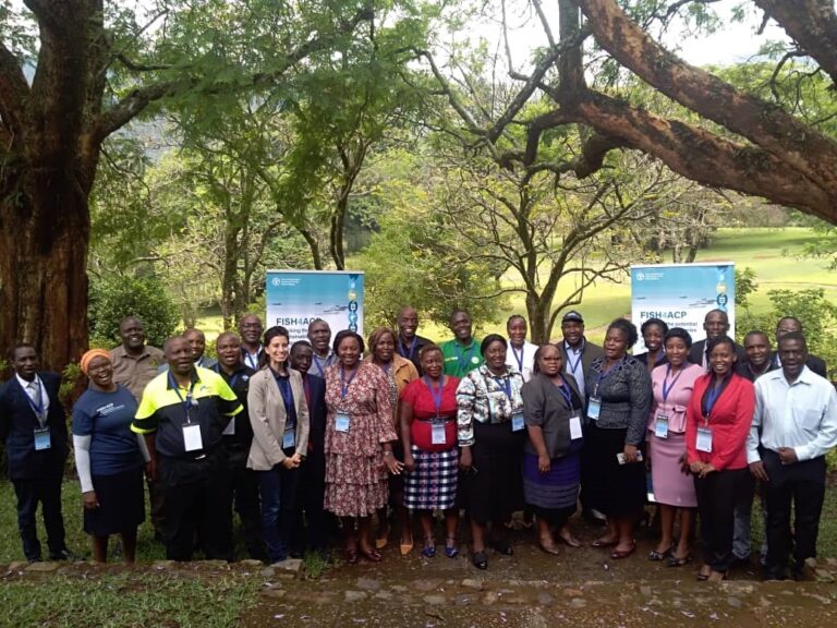 Zimbabwe to benefit from OACPS and FAO driven Tilapia plan