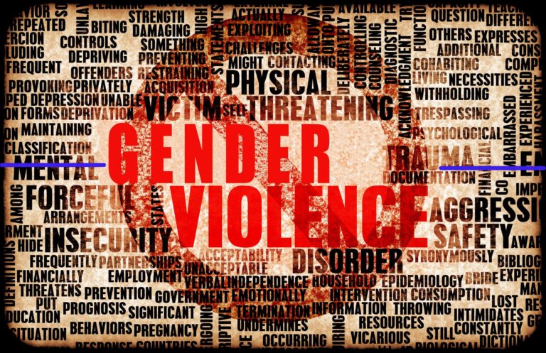 Is Zim govt committed to GBV eradication?