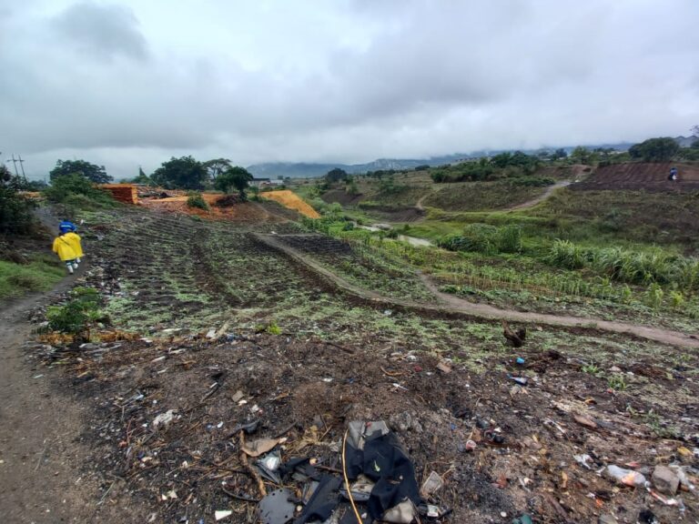 Mutare council warns illegal urban farmers