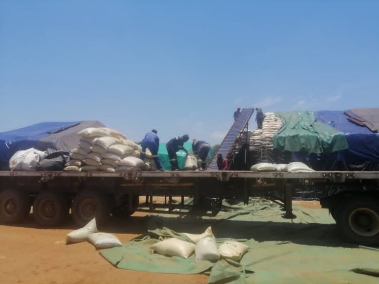 Lowveld wheat potential saviour to Zim’s bread  crisis