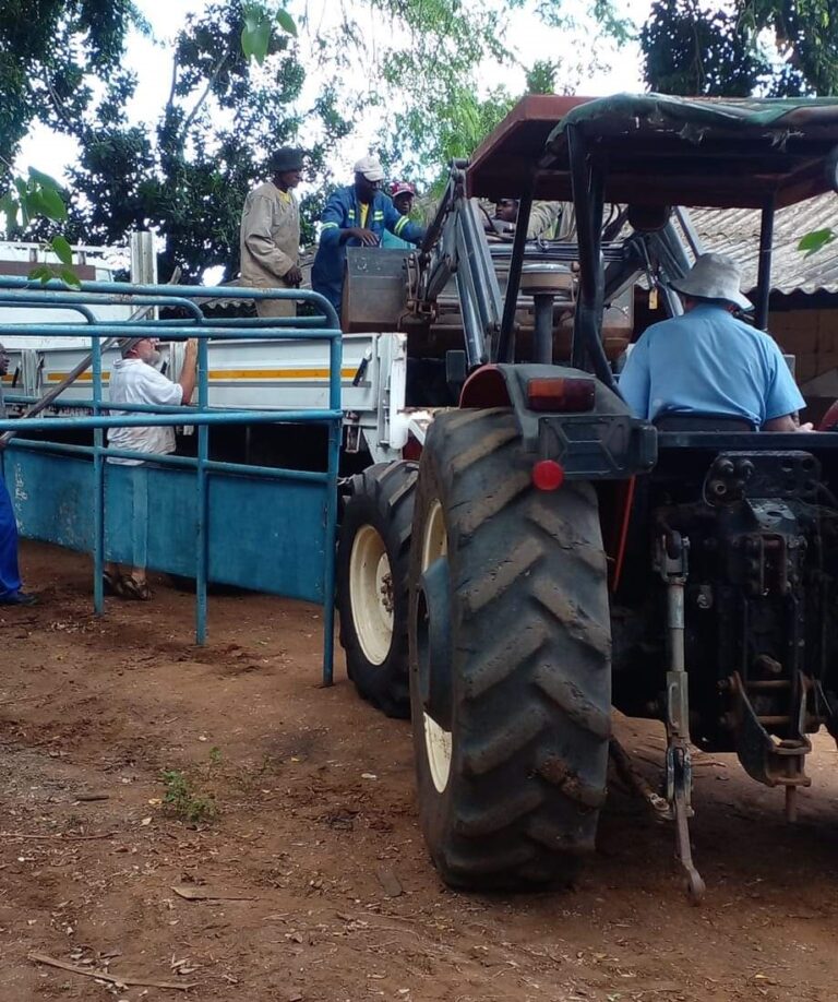 Evicted Mpapa white farmer denied offer letter for over 32 years