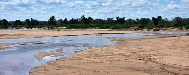 Environmental arteries poisoned, choked: reality of local rivers