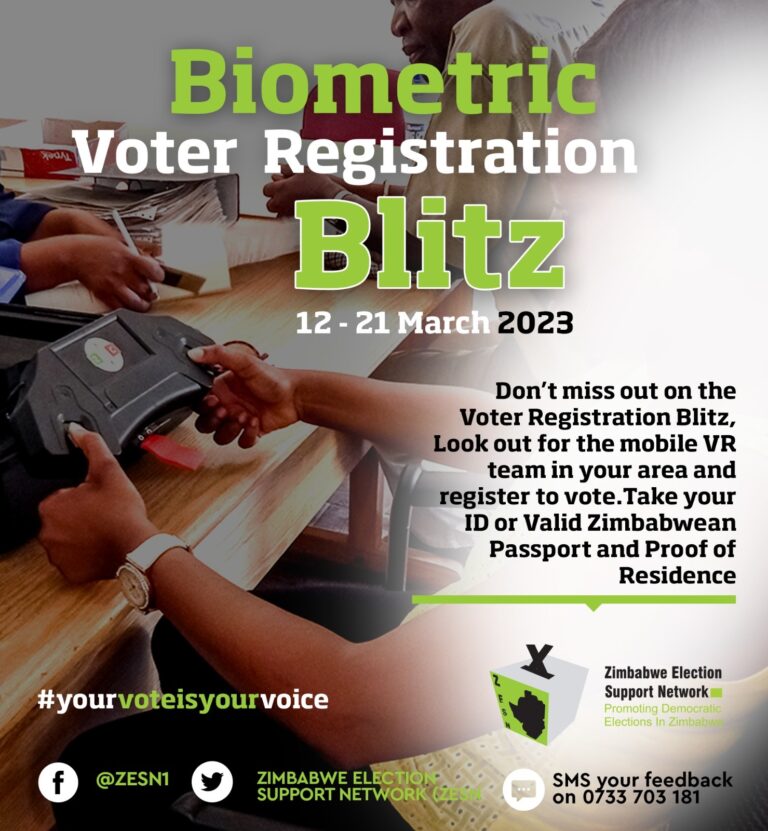 ZESN urges women to participate in electoral processes