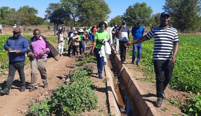 Exchange irrigation scheme gives hope to Silobela community