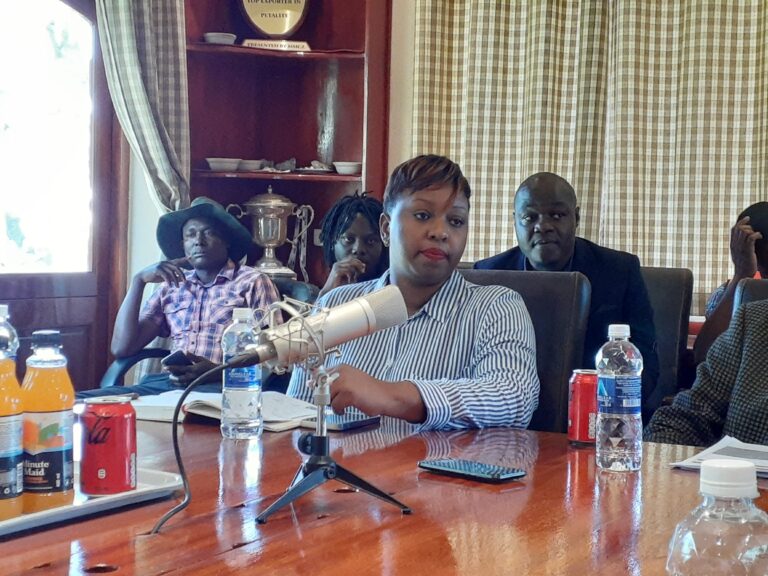 Bikita Minerals in massive CSR projects