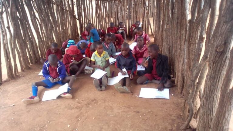 Mwenezi School goes 20 years without a single classroom block