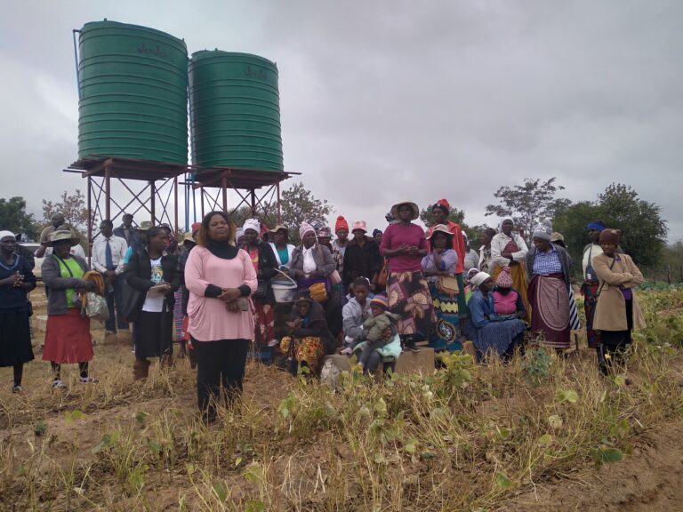 Community gardens source of women empowerment