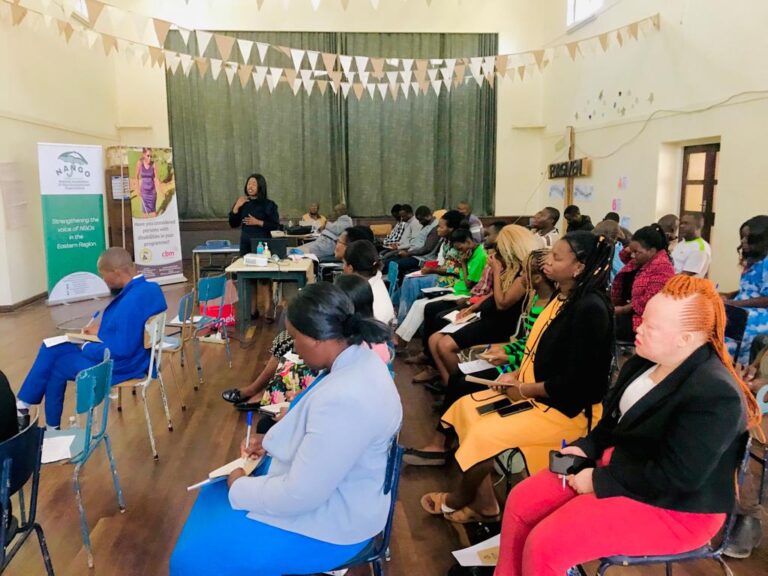 Manicaland CSOs drive PWD inclusion agenda