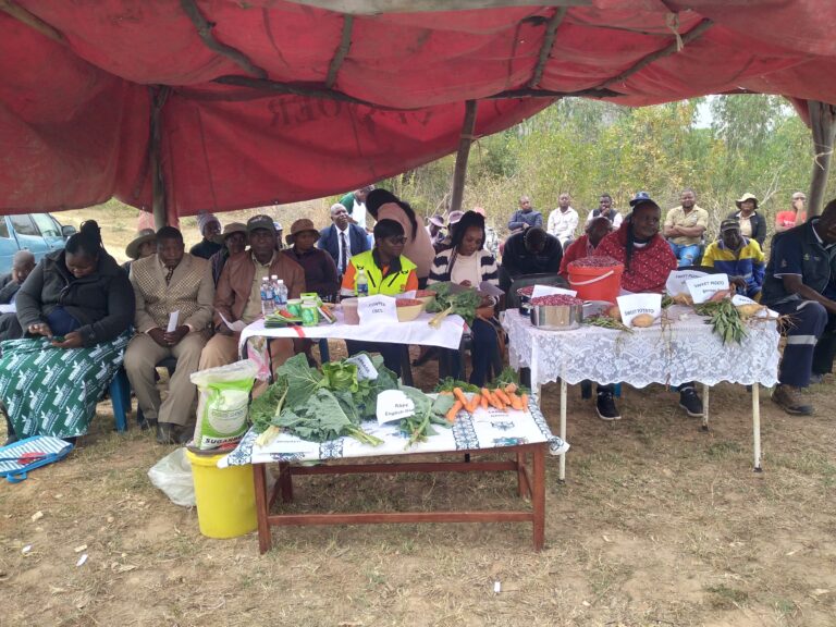 Agronomist urges Chiponda Garden farmers to plant high breed crops