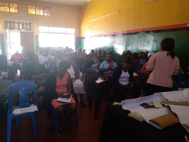 Women carry a greater burden of environmental pollution