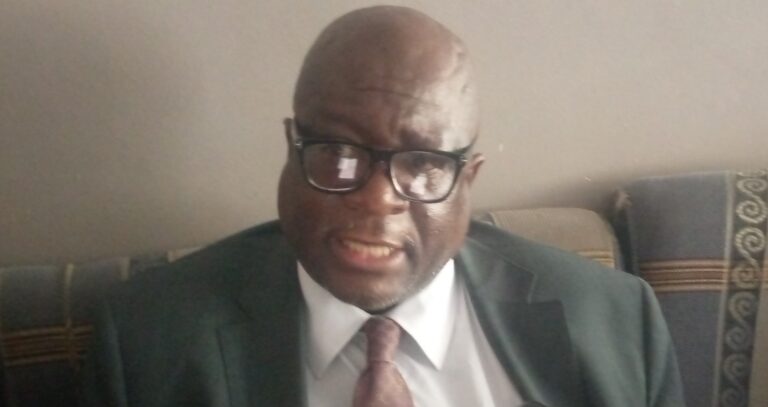 ZETDC, ZERA call Masvingo to embrace net metering