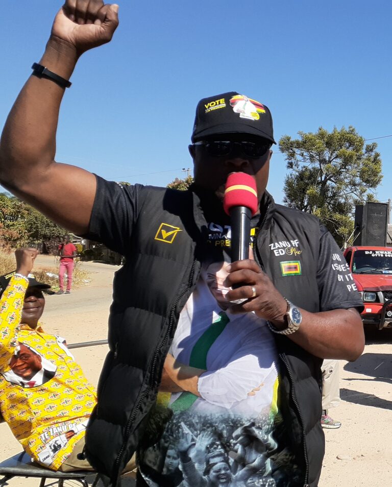 Zanu Pf in charge of Council affairs – Mahwende