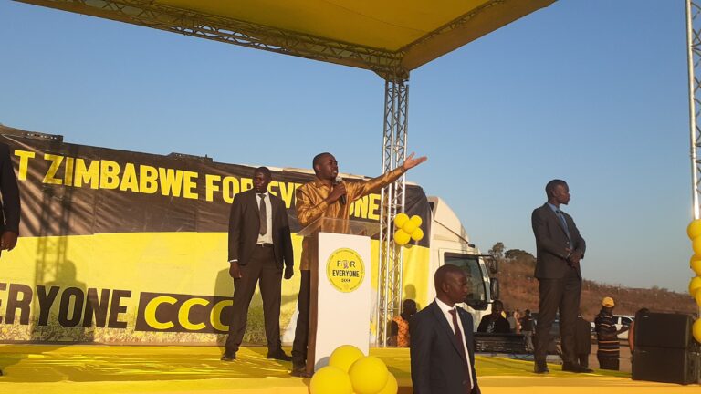 ED will be leader of opposition in Parly – Chamisa