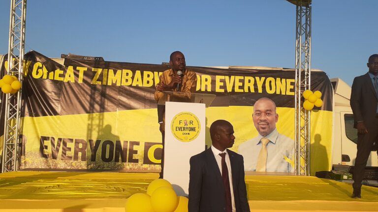 Chamisa throws Hwende under the bus