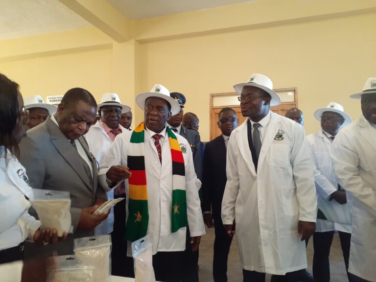 Mnangagwa orders Mthuli Ncube to fund innovation hubs