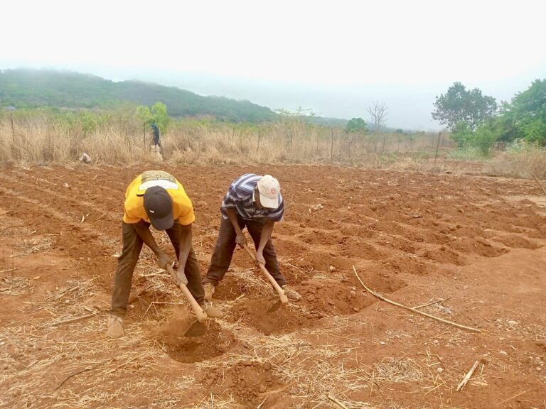 Farmers urged  to speed land  preparations,  desist from  planting
