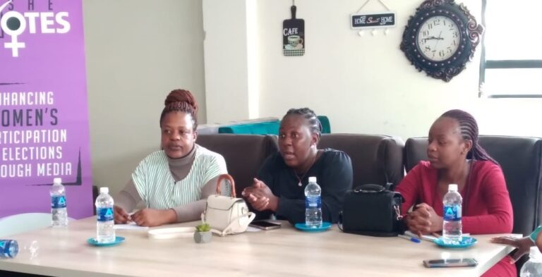 Social norms, social media deterring women from politics