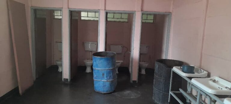Power of the media: Masvingo Passport office toilet crisis addressed