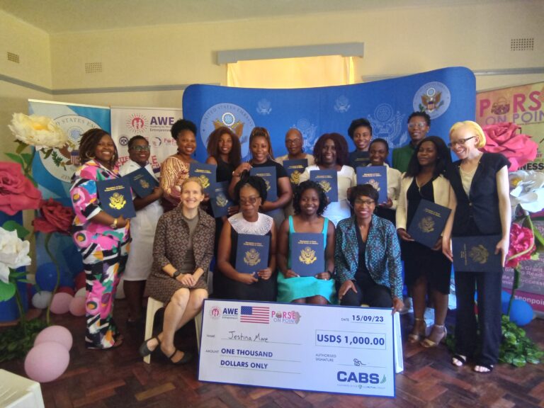 Women Entrepreneurs the backbone of Zim economy: US Embassy