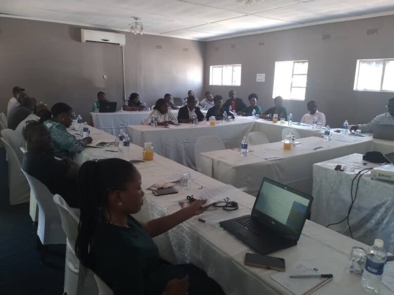 Assisted voting should be criminalized – Chitando