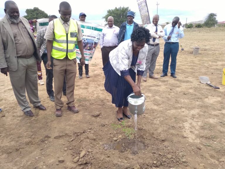 Hillside Primary joins  nation in national tree  planting commemorations