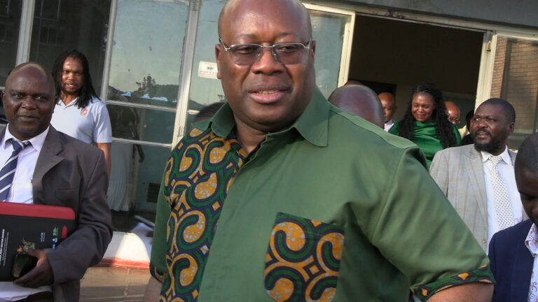 Save us from Tshabangu recalls – Mvo councilor begs Min Chitando